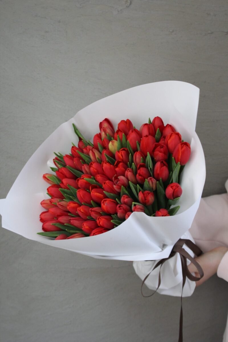 Red Tulips ❤️ - Görsel 4