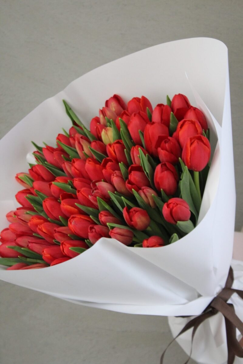 Red Tulips ❤️ - Görsel 5