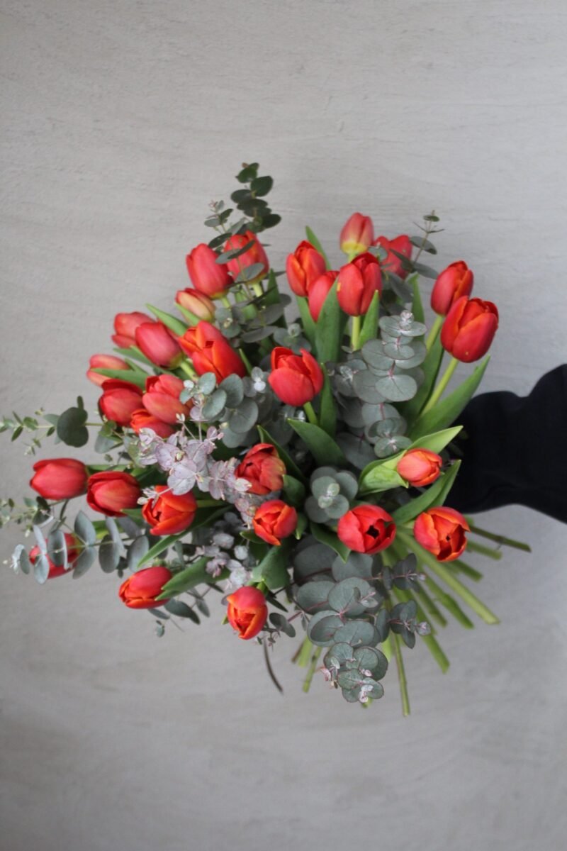 Red Tulips With Okaliptus 🌿