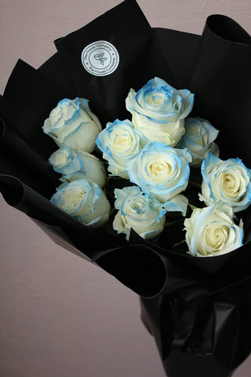 White and Blue - Görsel 2