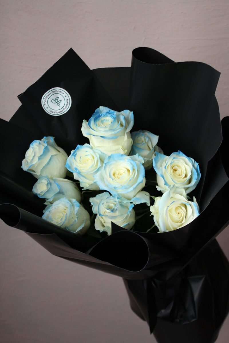 White and Blue - Görsel 6