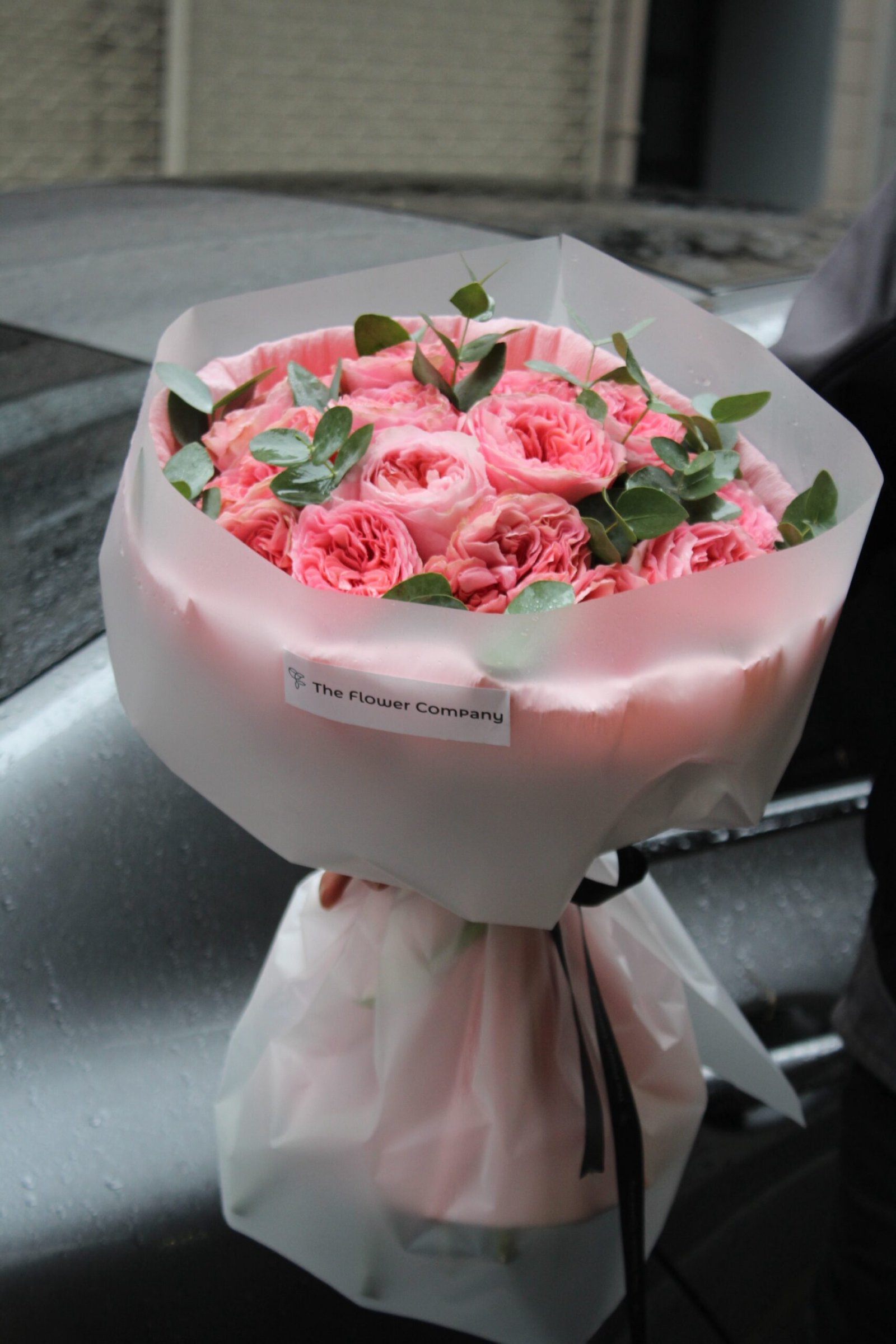 Devotion - Görsel 3