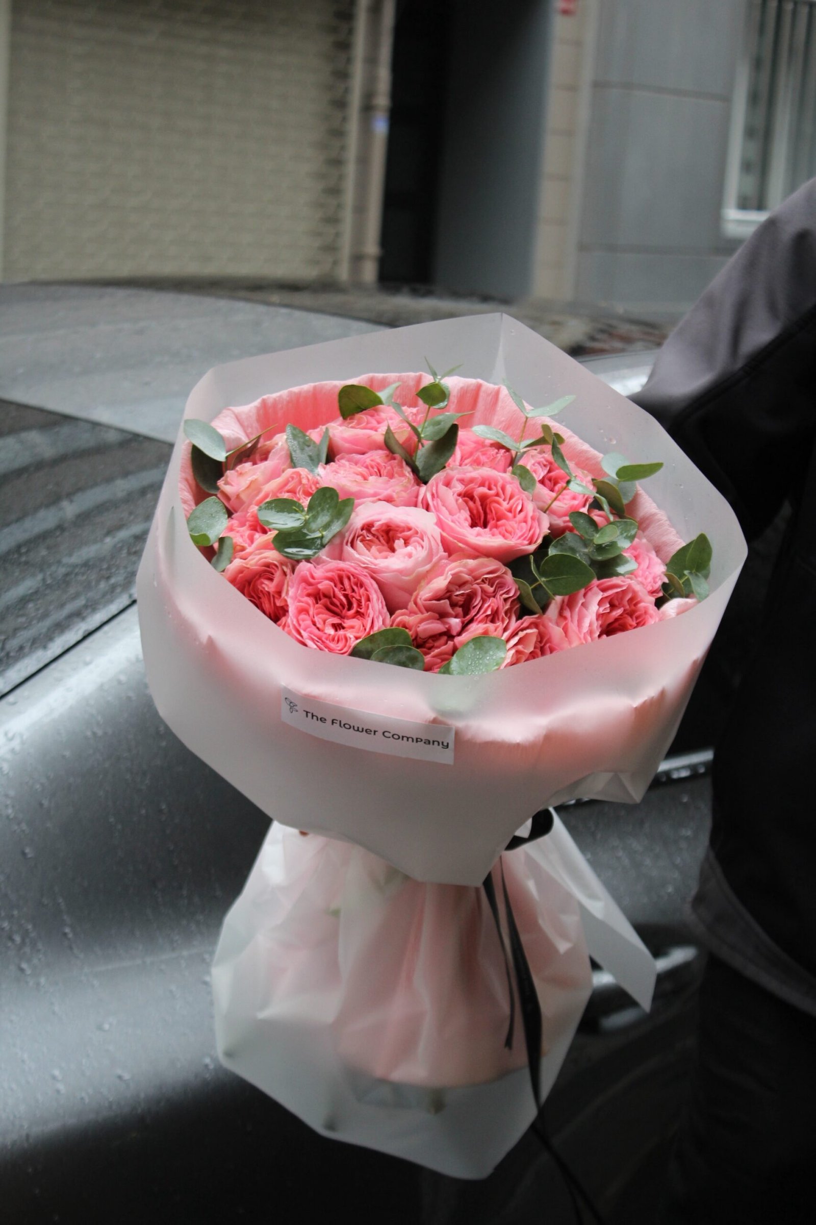 Devotion - Görsel 4