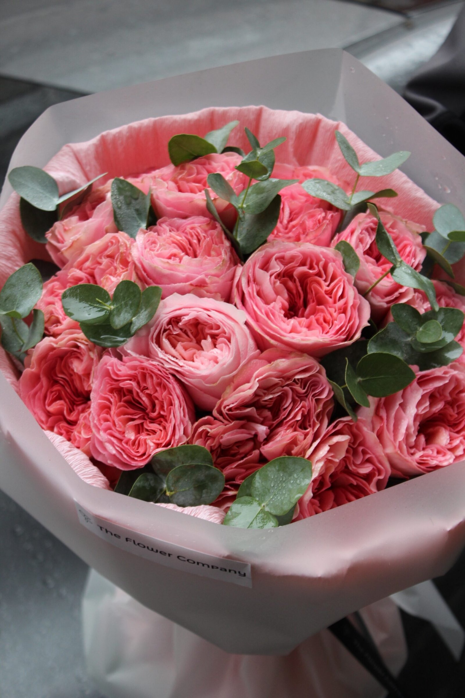 Devotion - Görsel 2